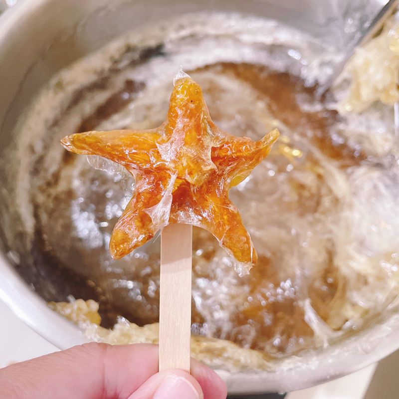 雲林伴手禮*楊桃棒棒糖🍭*（硬）