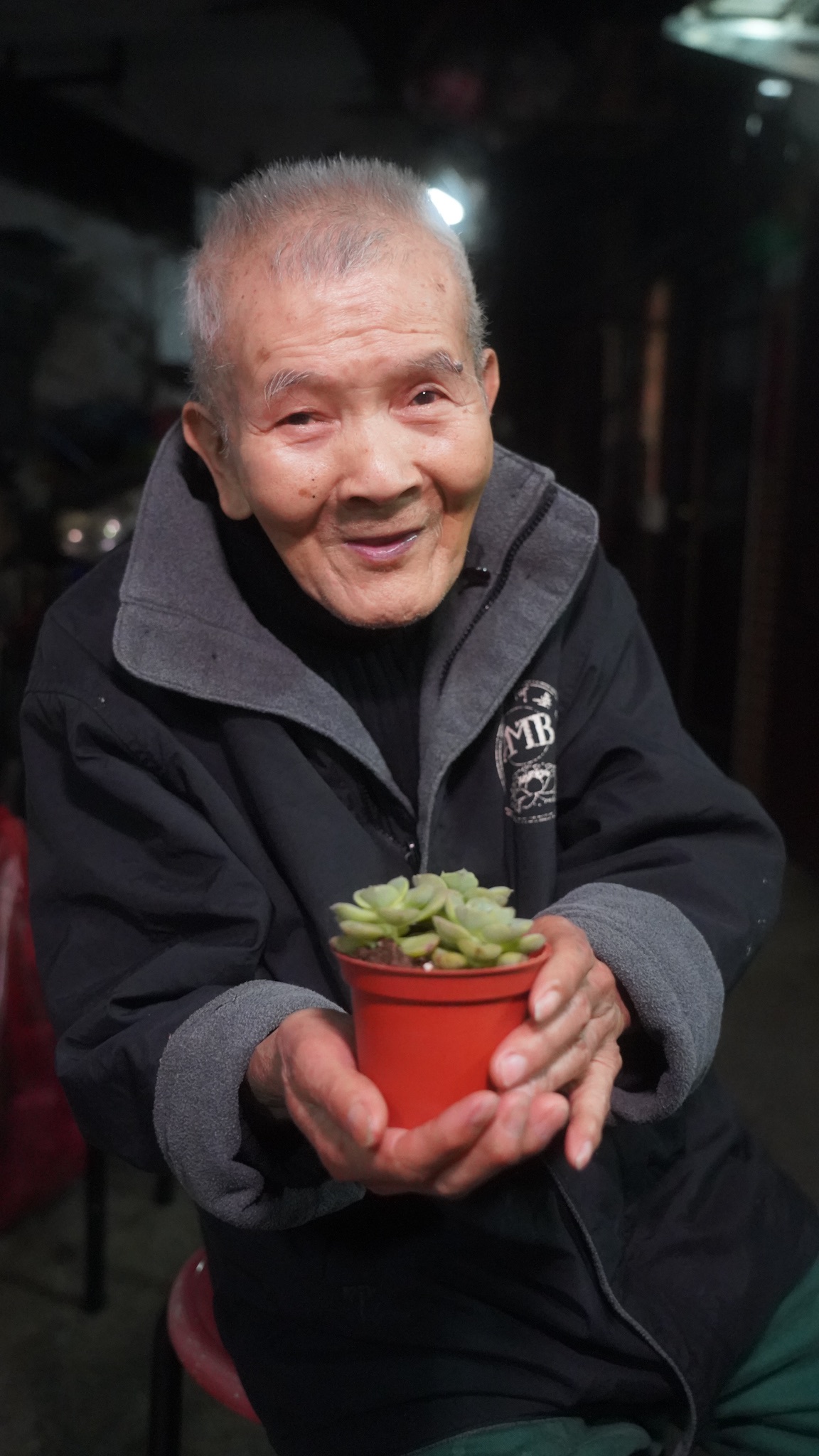 「隨機」愛心多肉植物6入