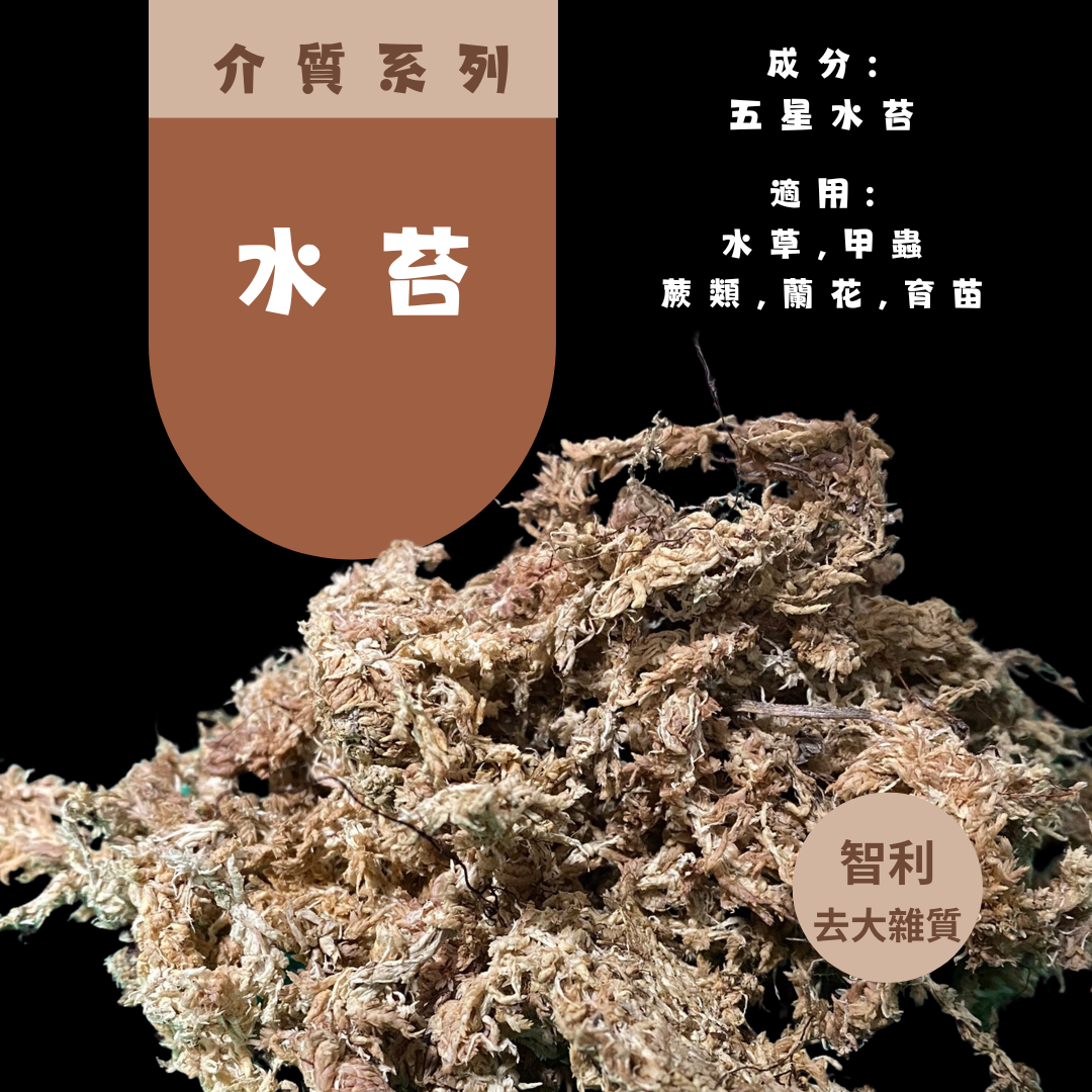 園藝土壤介質{ 水苔}200克 現貨 智利水苔 水草 鹿角蕨 蘭花 龜背芋 觀葉植物 室內植物 （已泡開，曬乾，去除大