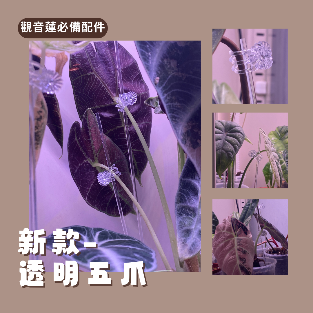 {嚕醬植物配件}高顏植｜透明固定棒｜隱形支撐架｜斑啾植選｜植物支撐杆｜植物壓克力支撐棒｜美觀｜不發霉｜花夾｜植物夾｜公仔