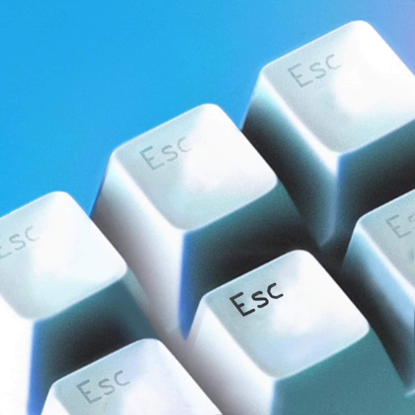 椅子樂團 The Great Escape Of Our Time