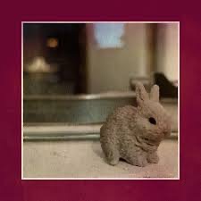 downt - Und erlight ＆ Aftertime