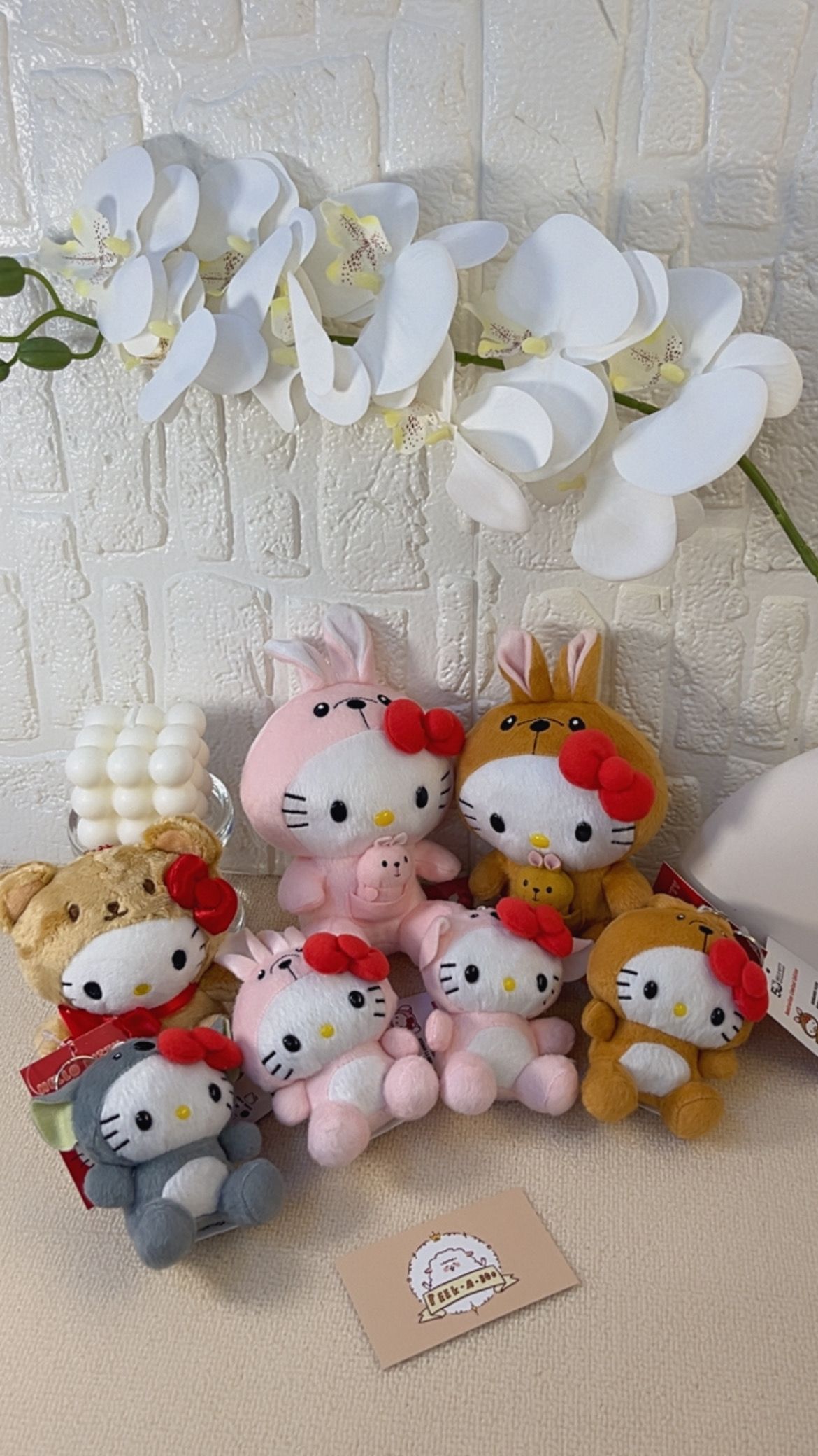 【最後現貨】kitty 50周年澳洲限定版