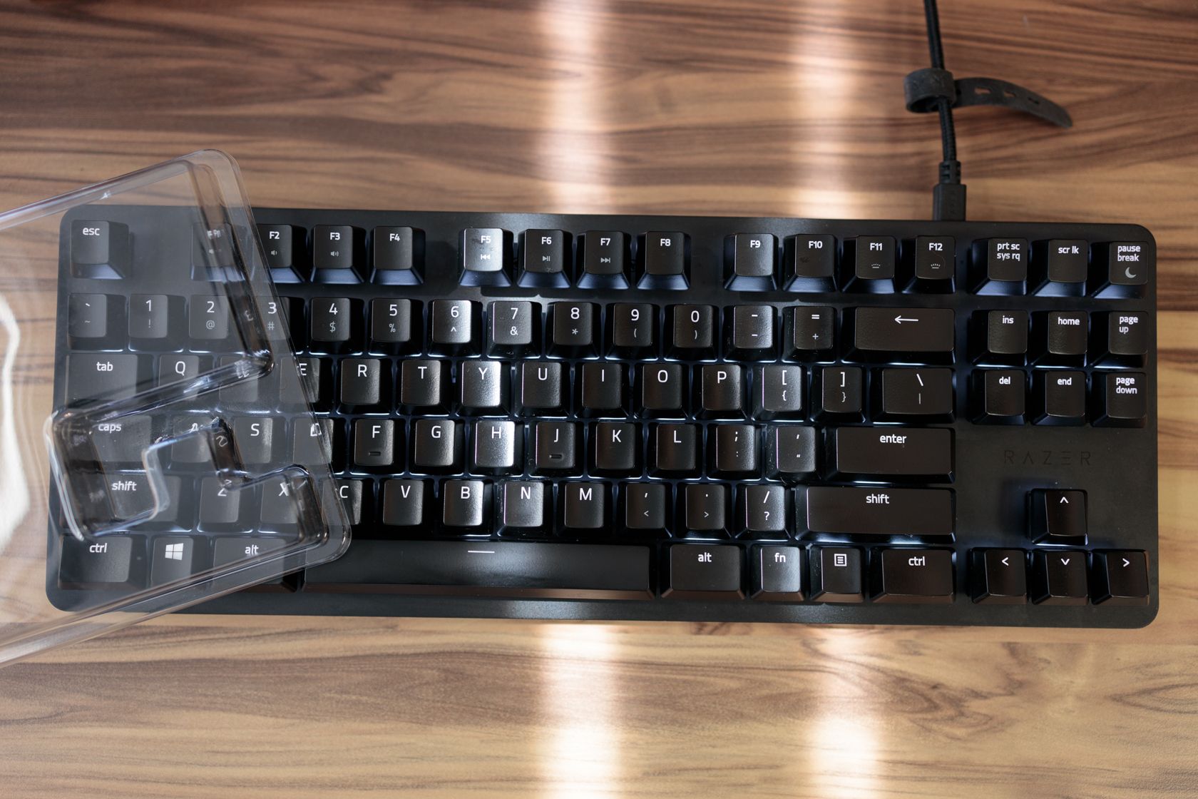 雷蛇 Razer Blackwidow Lite - 橘軸