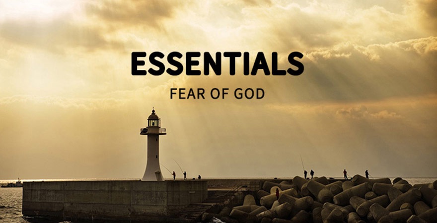 Fog essentials 福袋專區