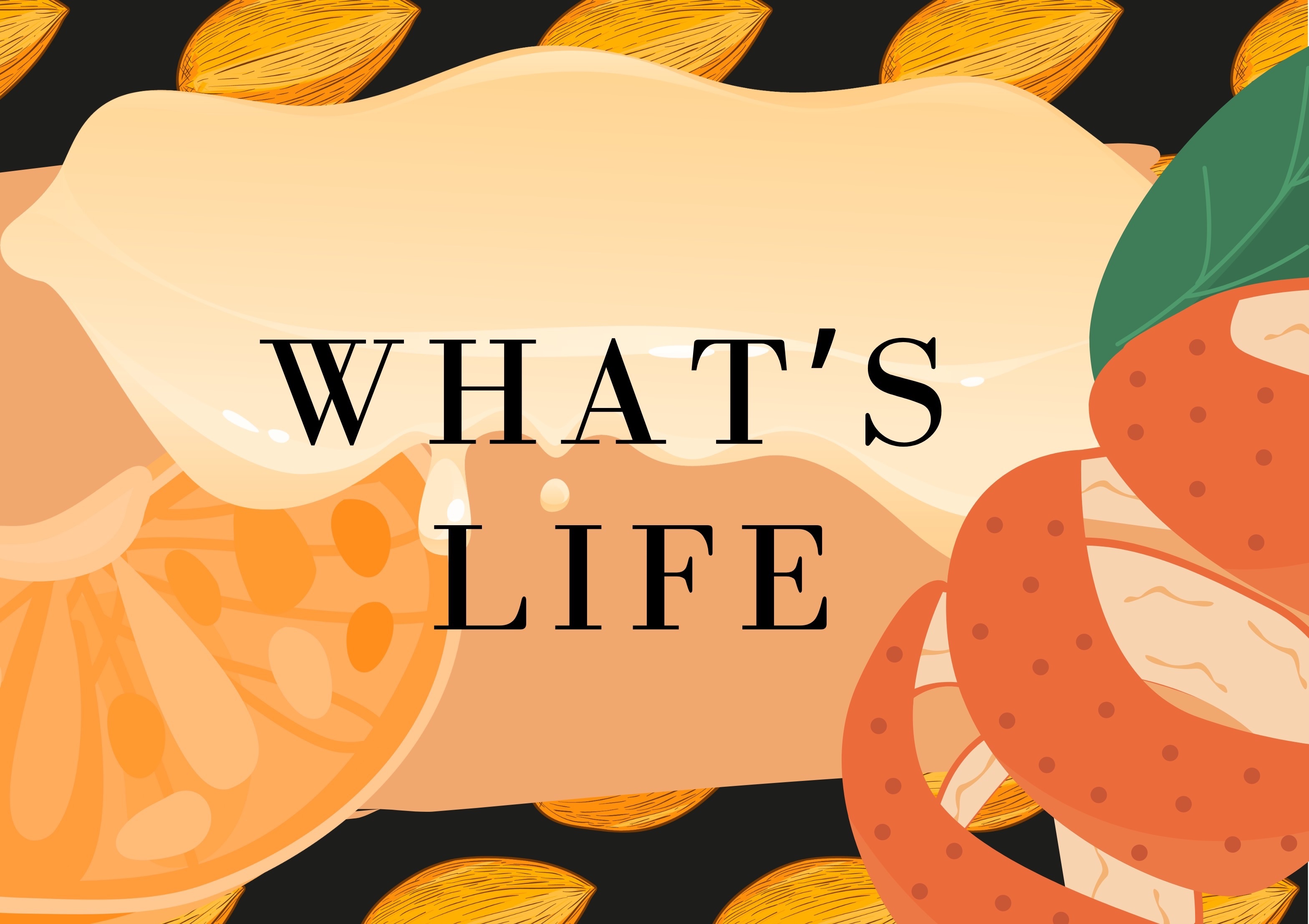山海季節配方 人生Life 中焙