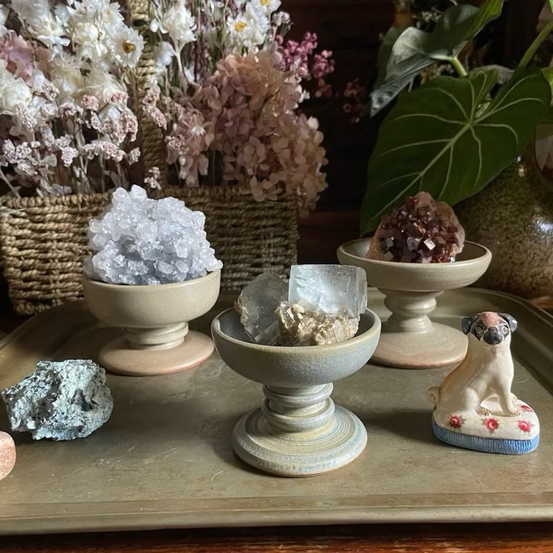 醜肥皂X雅藝盆栽｜高腳盤