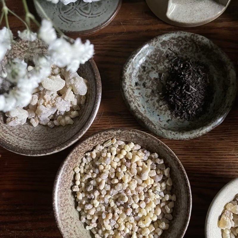 醜肥皂樹脂｜快速補貨區