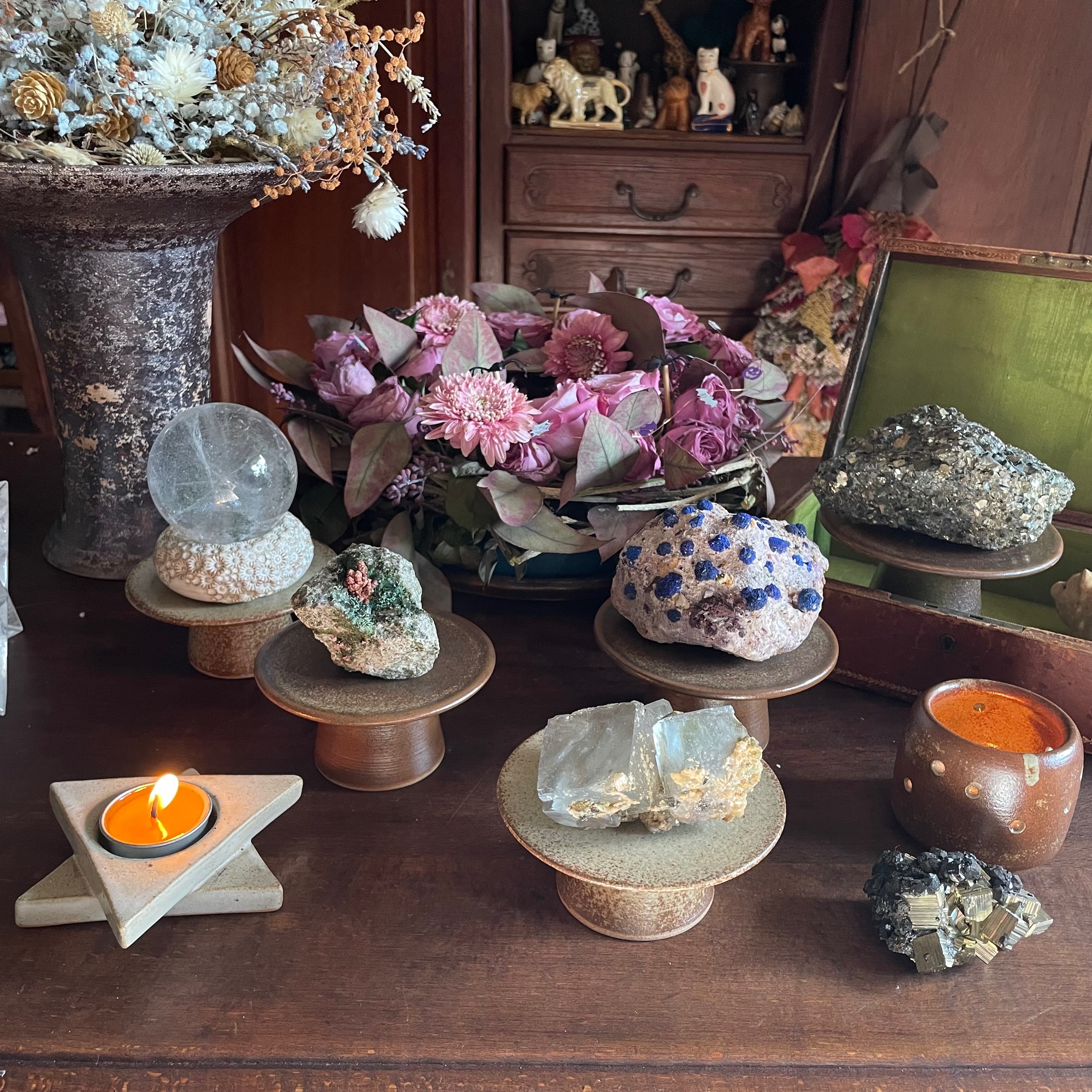 醜肥皂X雅藝盆栽｜小高台