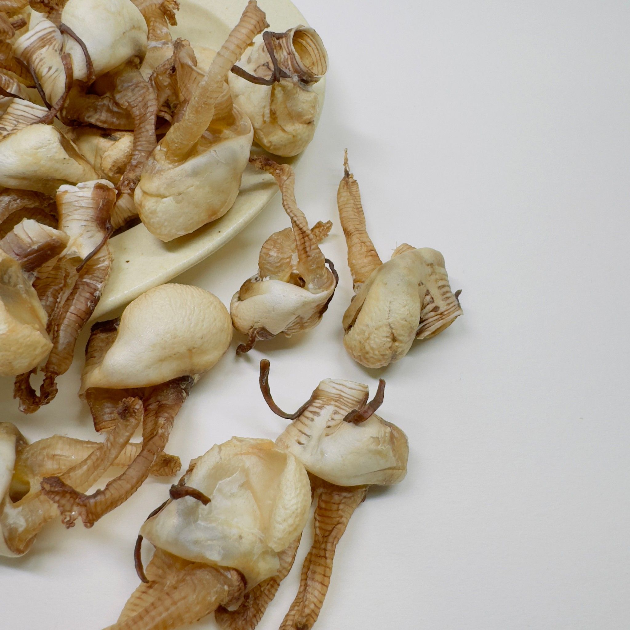 ❚ 常腸寵愛 ▪ 烘乾系列 ❚　鴨鴨可樂果