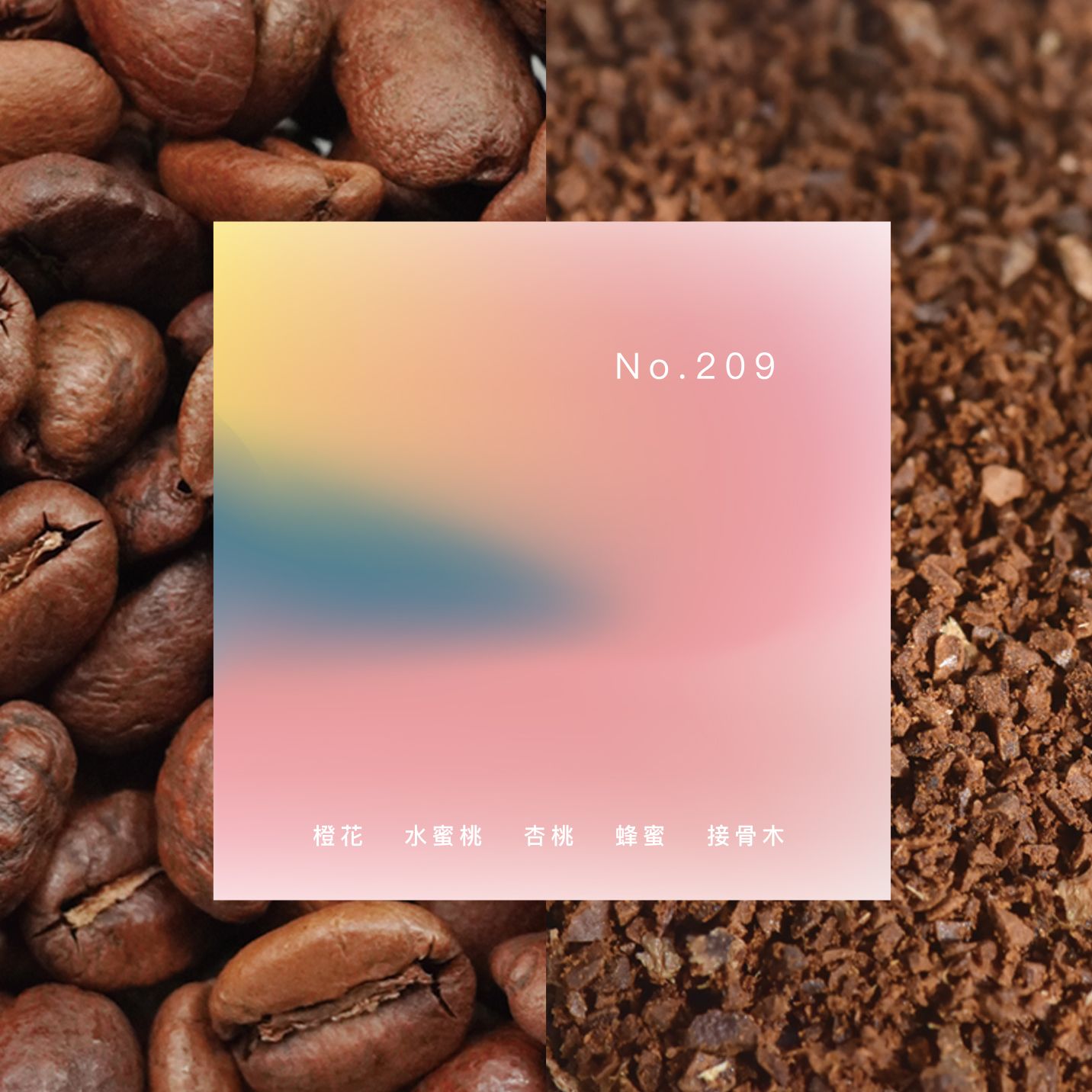 Out Of Office｜淺焙｜No.209 Blend 不在辦公室 二〇九號配方｜咖啡豆 咖啡熟豆