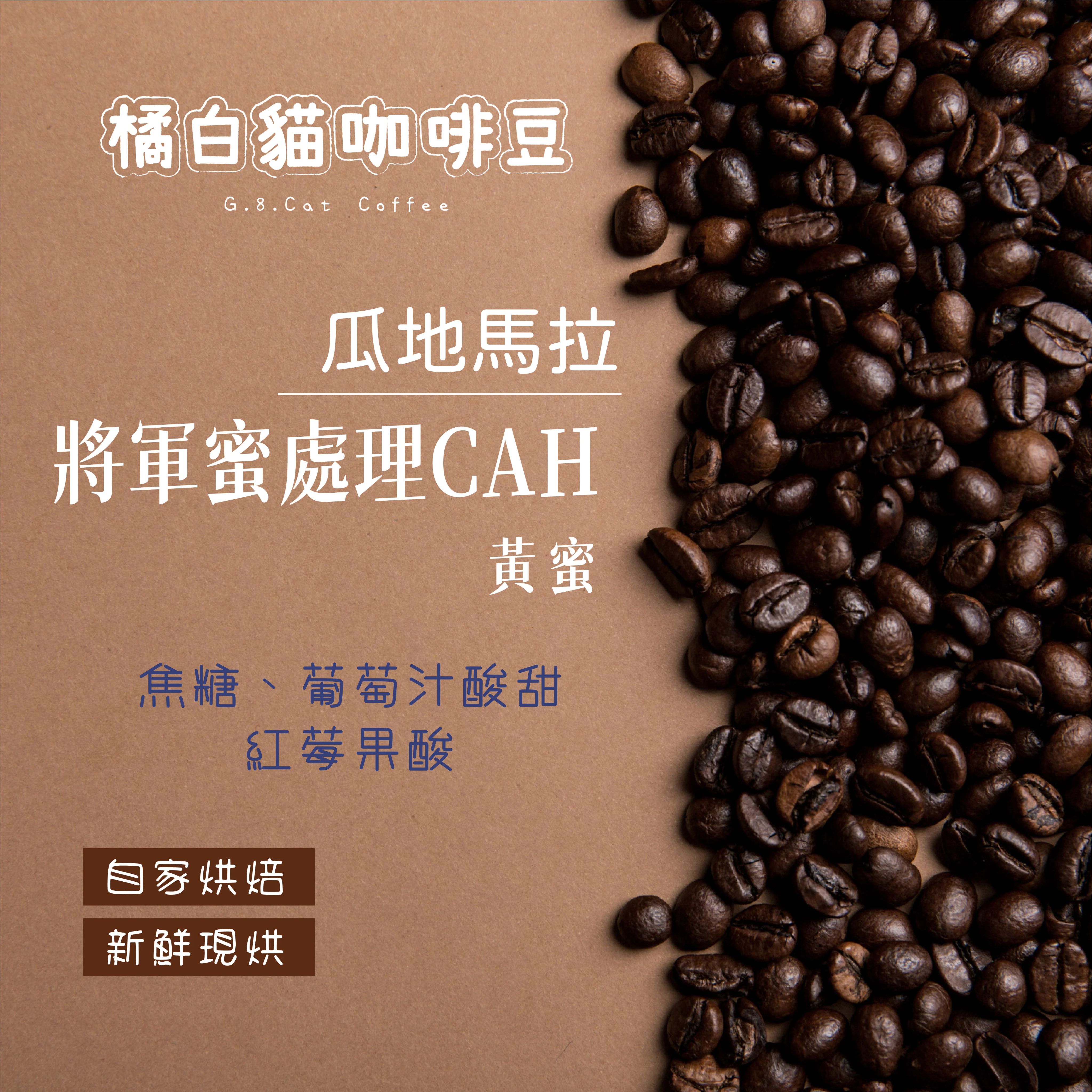 瓜地馬拉 將軍莊園 將軍蜜處理CAH