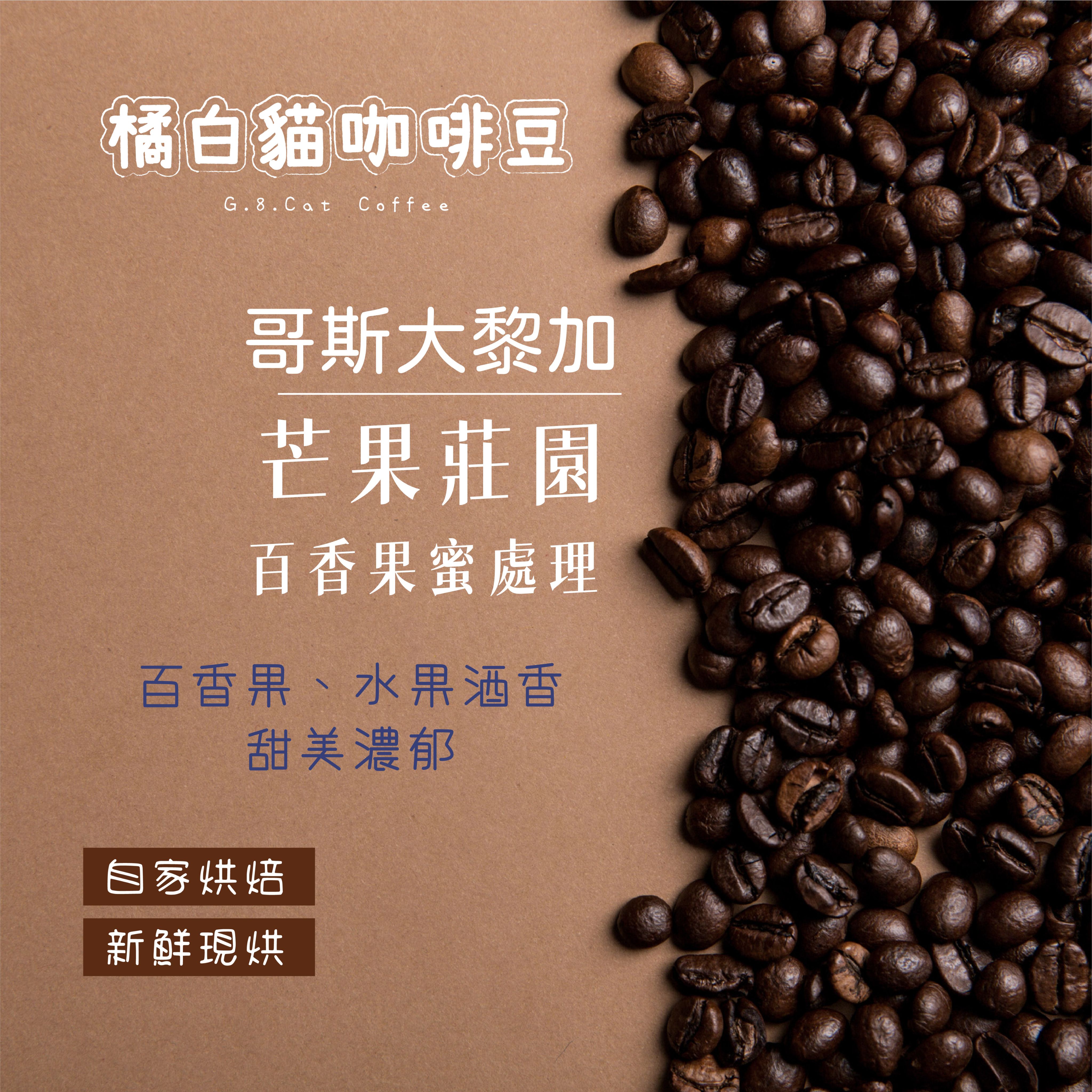 哥斯大黎加 芒果莊園 里瓦斯人處理廠