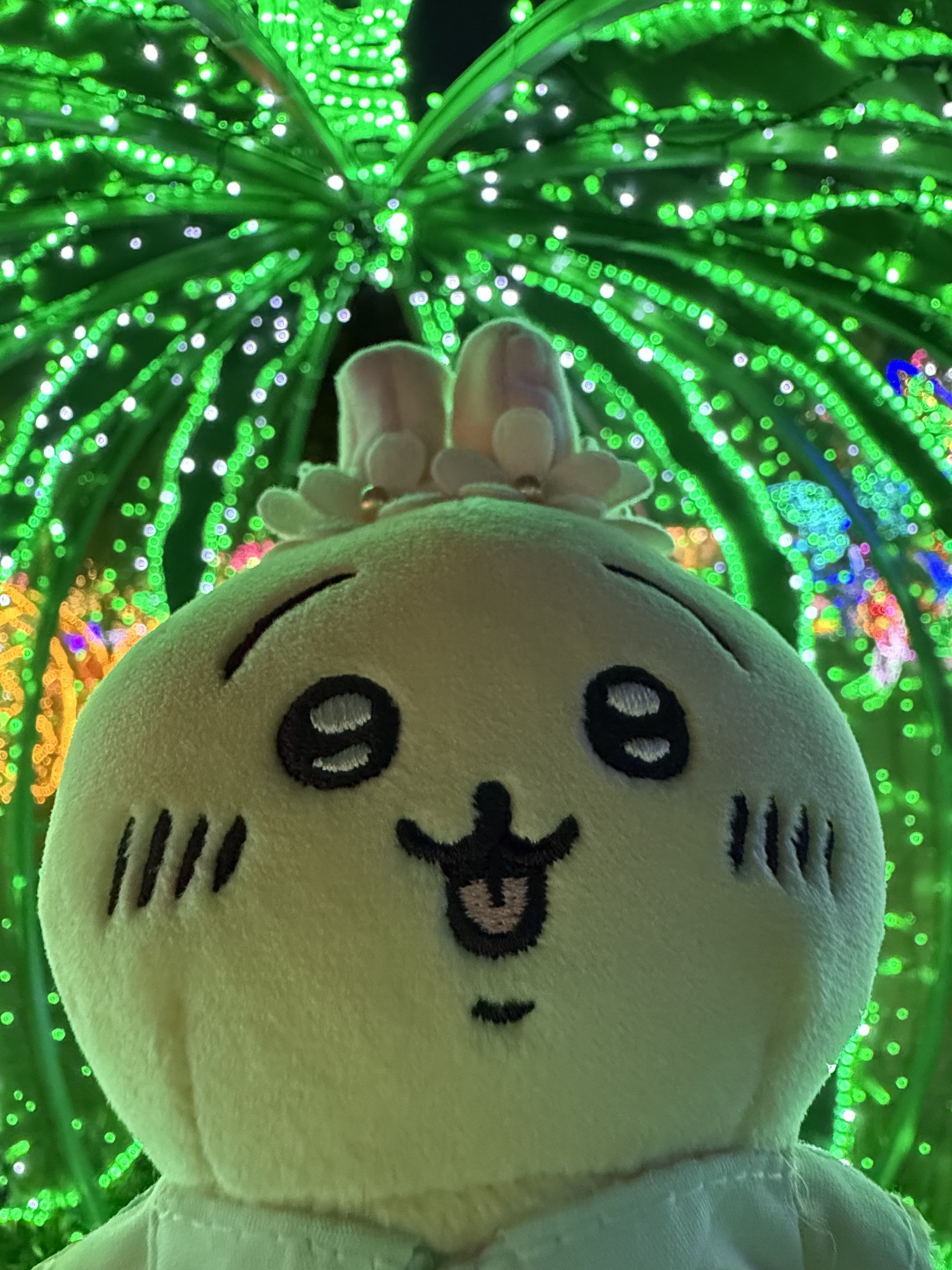 2026代購賣場