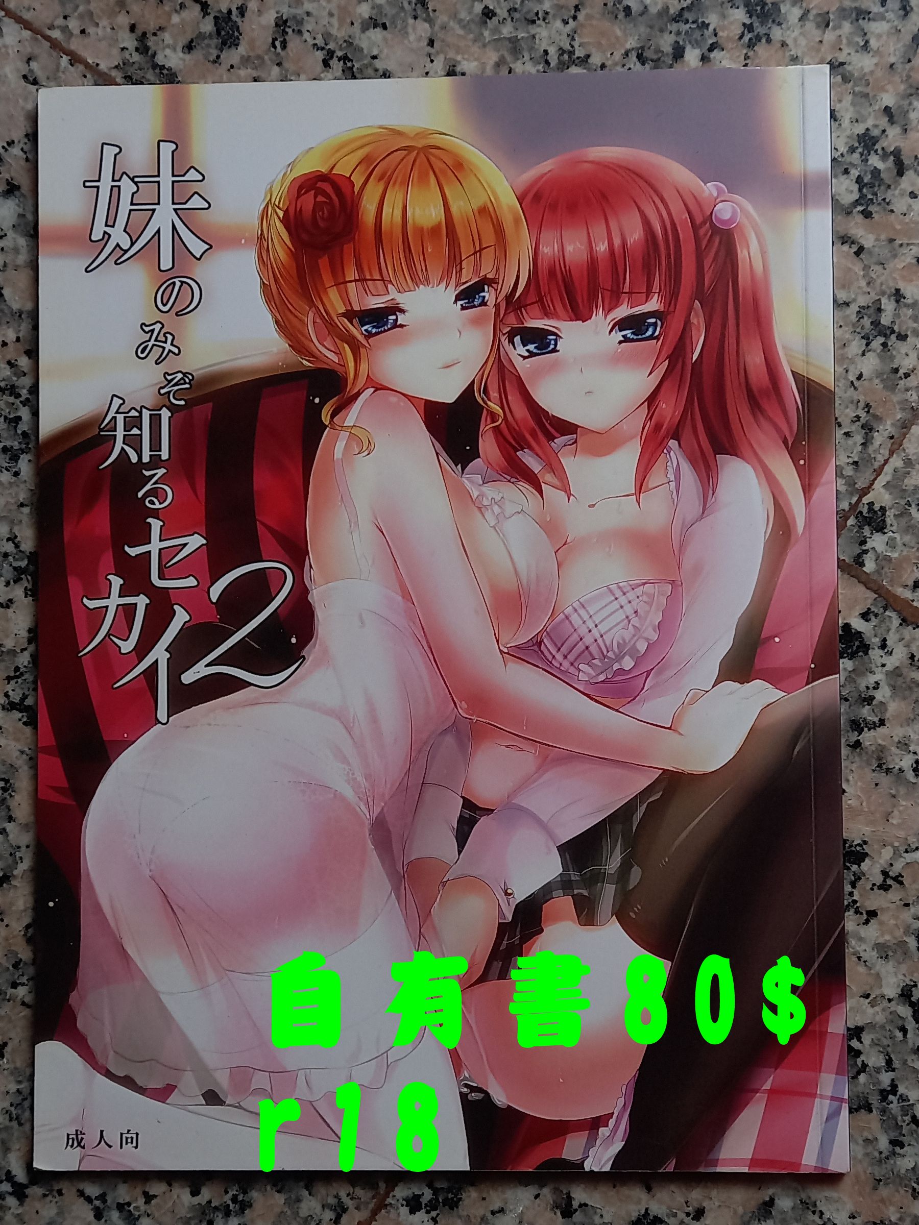 二手 R18 只有妹妹知道的世界2