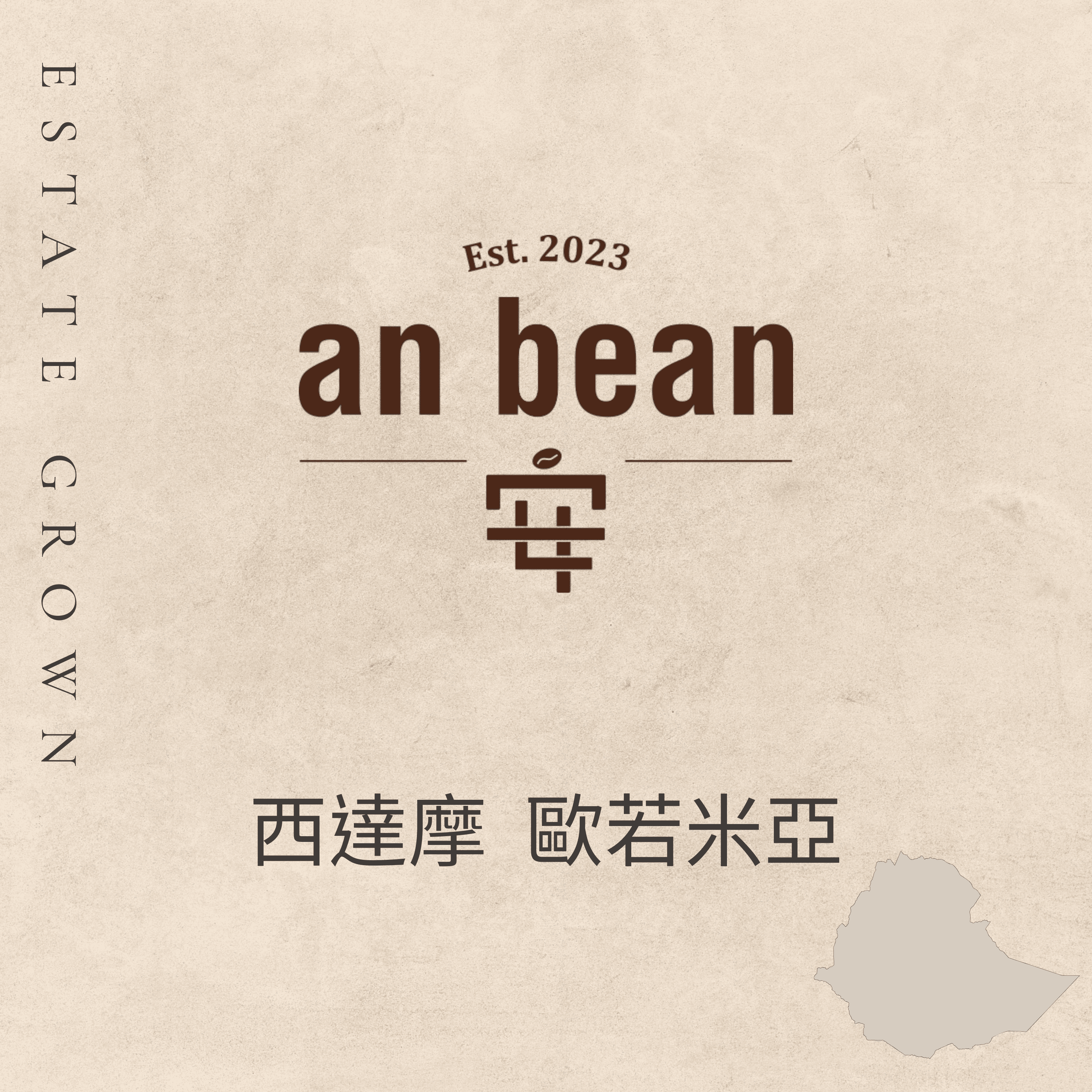 西達摩-歐若米亞（淺焙、密處理）