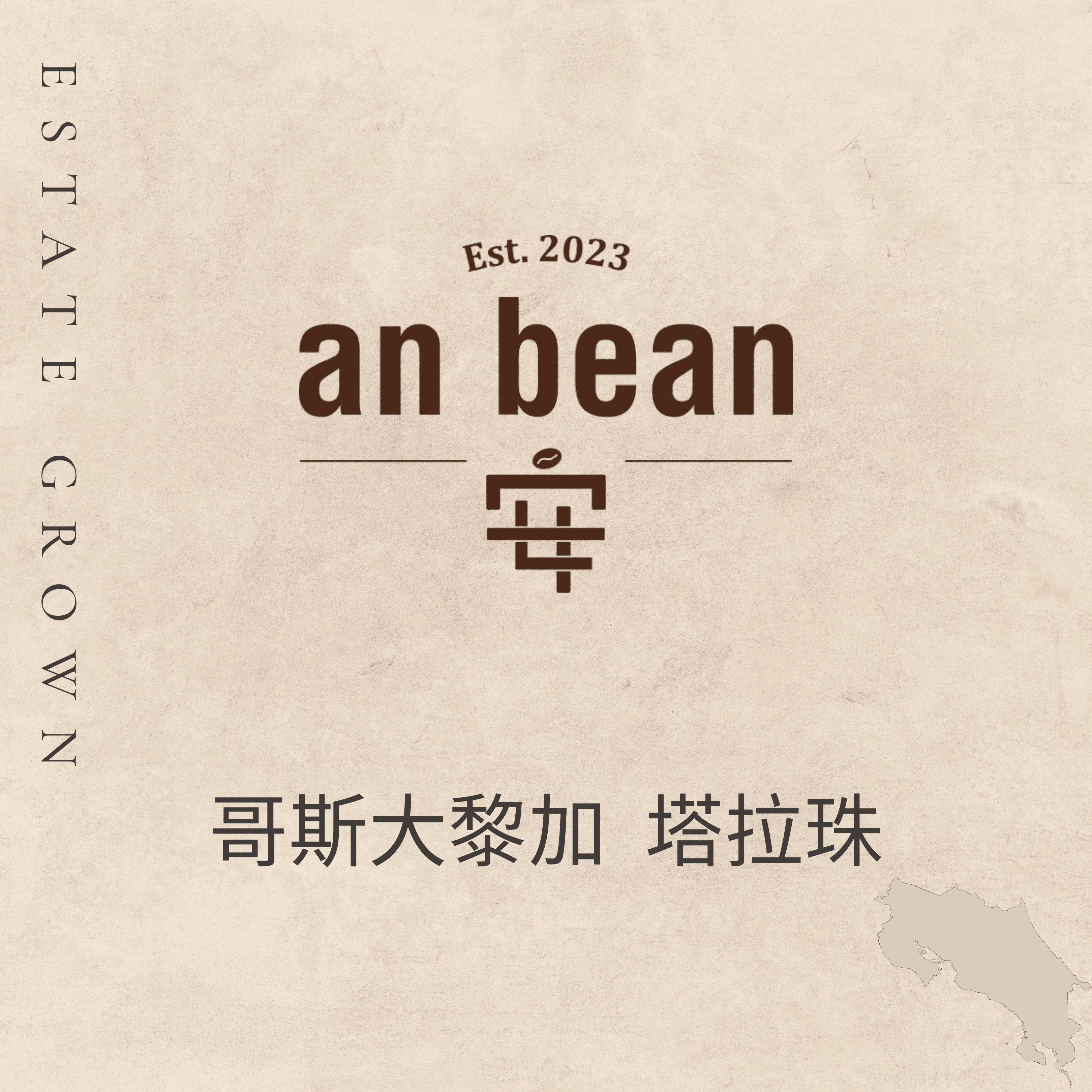哥斯大黎加-塔拉珠（淺焙、水洗）