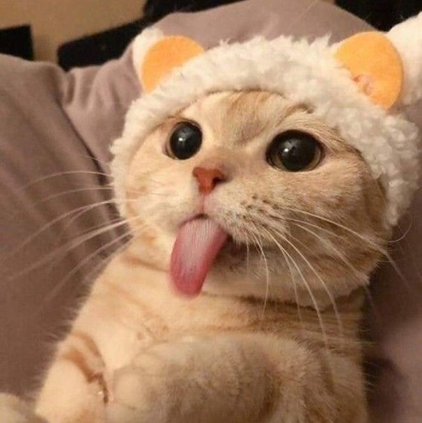 直播影片30元賣場21-30