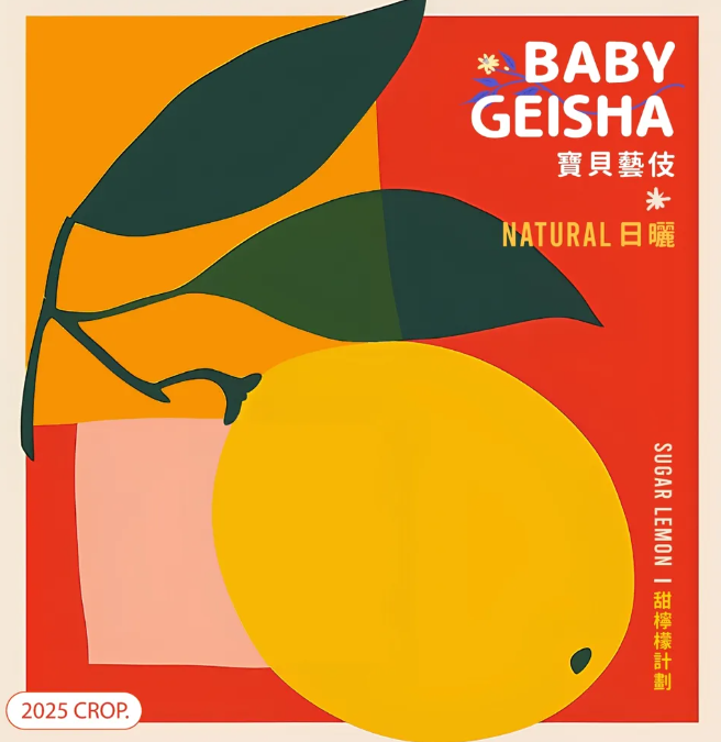 日曬 衣索比亞 寶貝藝妓 G1