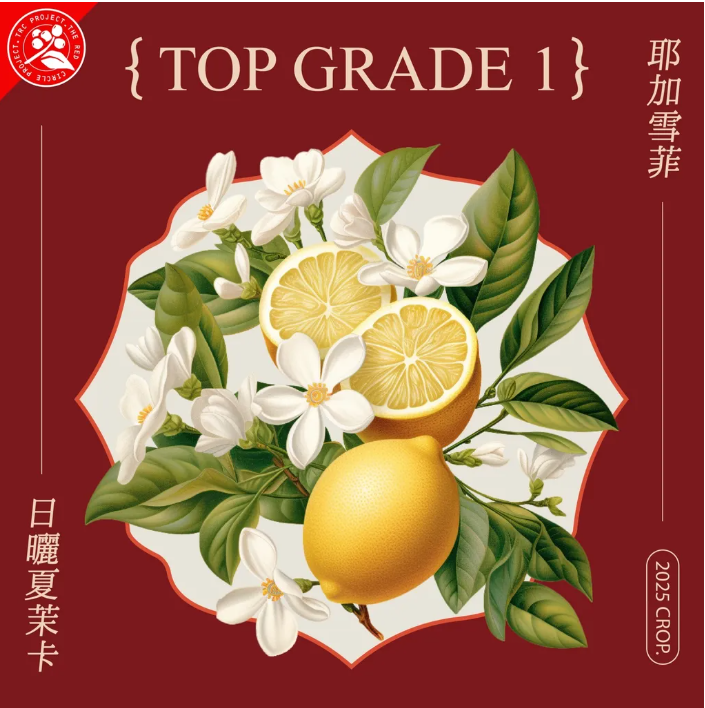 日曬 耶加雪菲 夏茉卡 G1