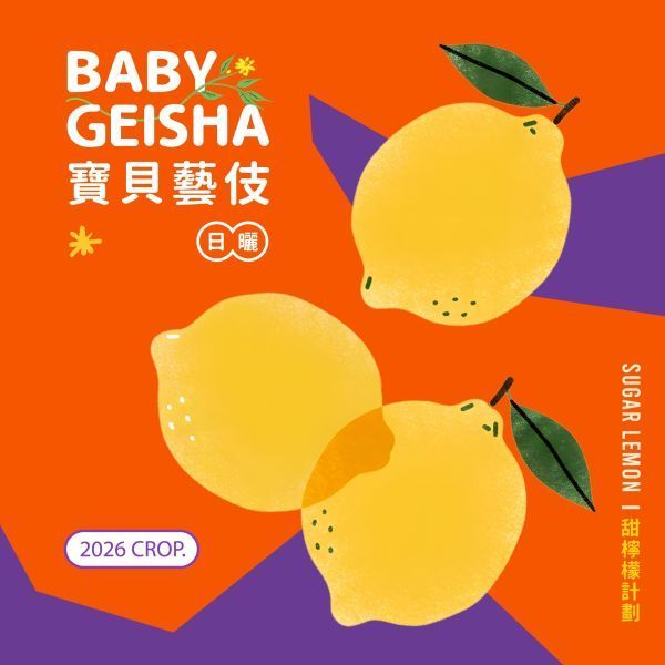 日曬 衣索比亞 寶貝藝妓 G1
