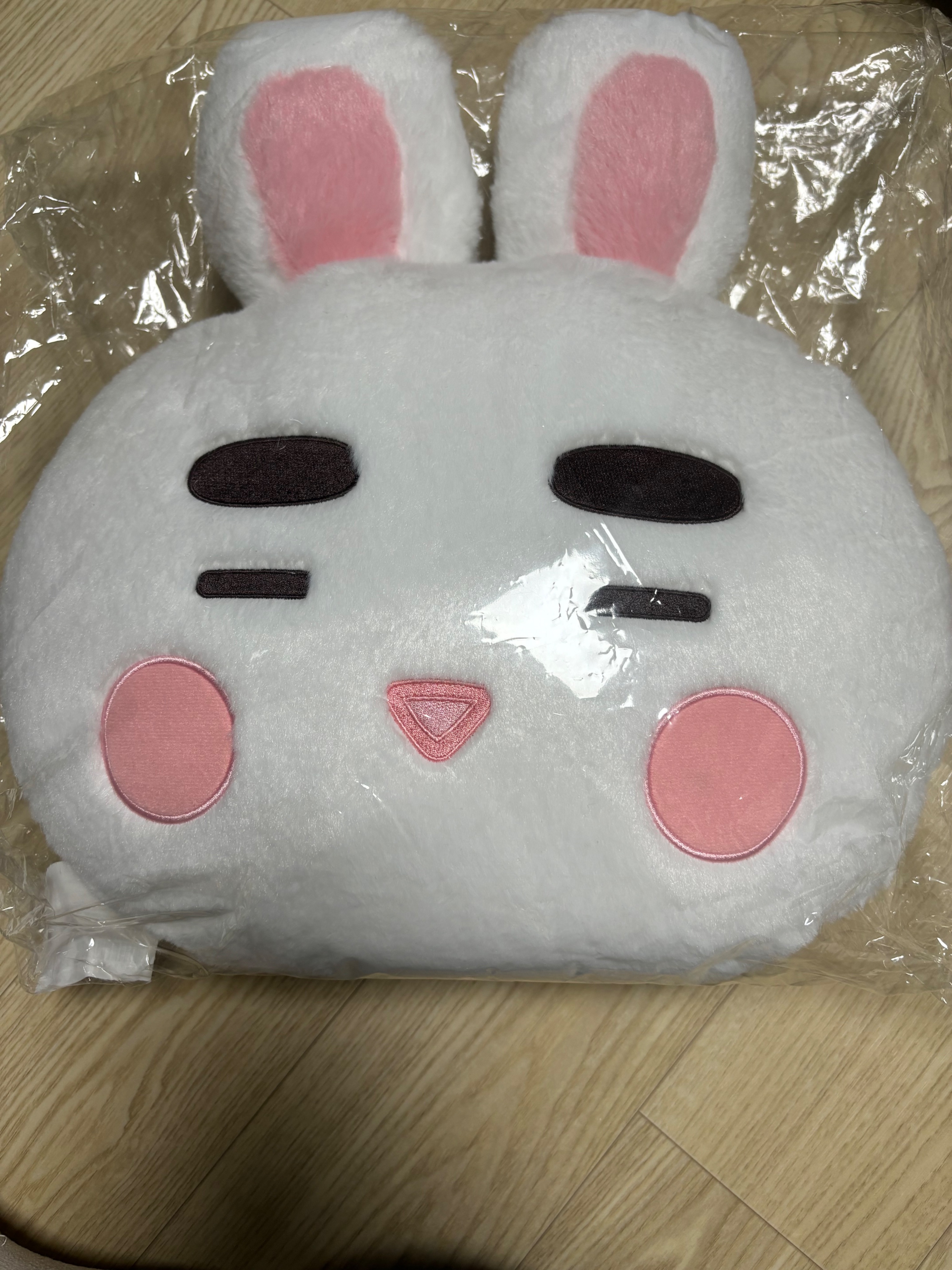 *現貨*溫流15週年兔子抱枕 無官方袋