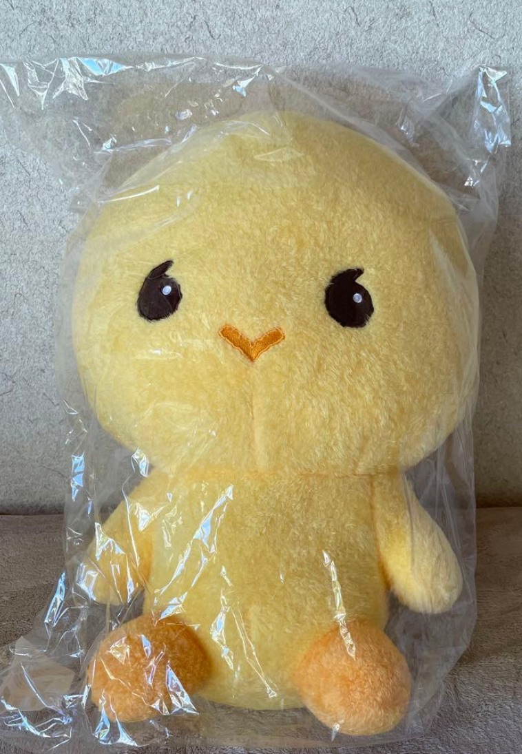 15週年泰民40公分娃 已拆 無官方袋 3月底出貨🚚