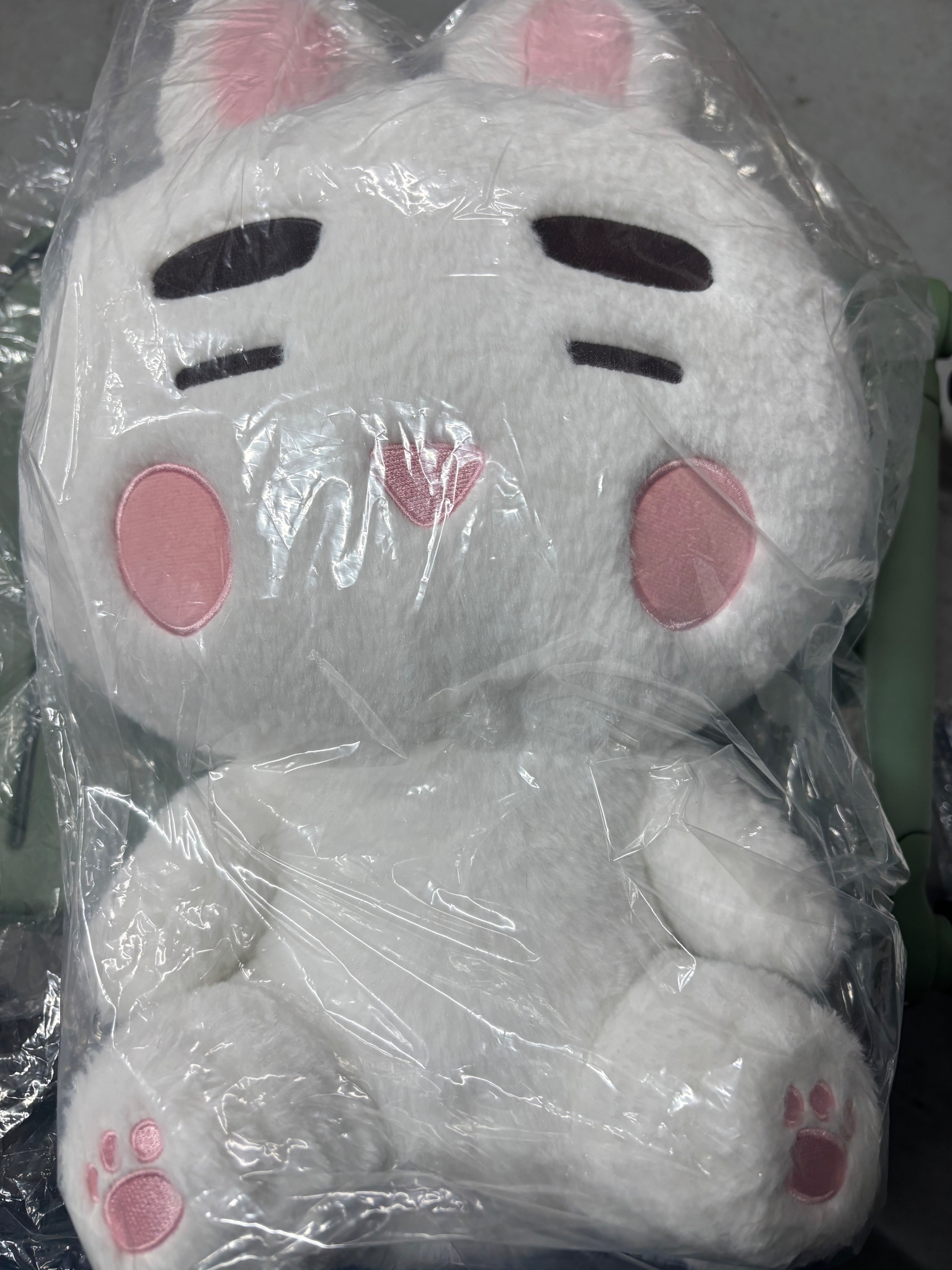 *預購*15週年 40公分珍咕王 已拆確認聲音 無官方袋 3月底出貨🚚