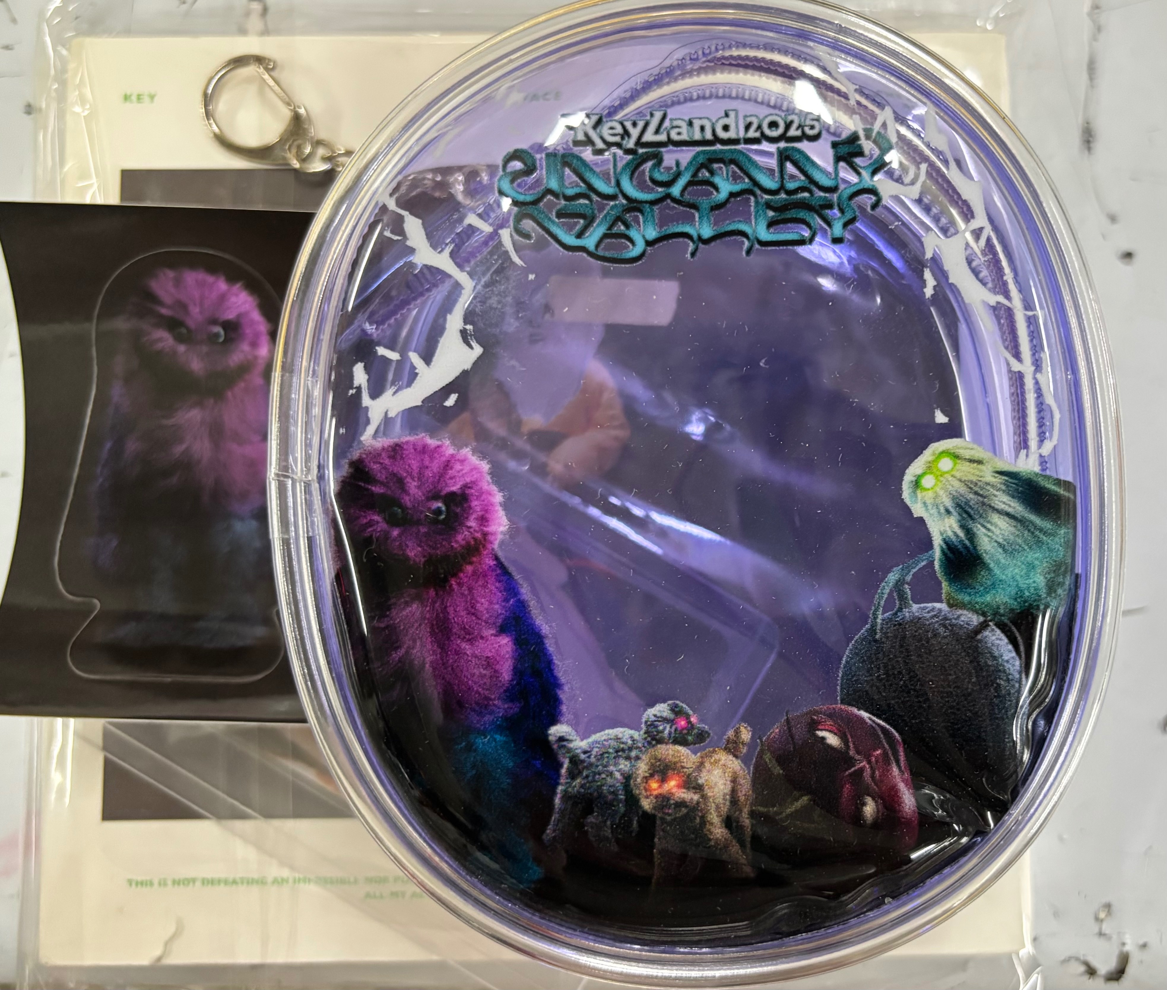 現貨 Keyland演唱會娃包 未使用