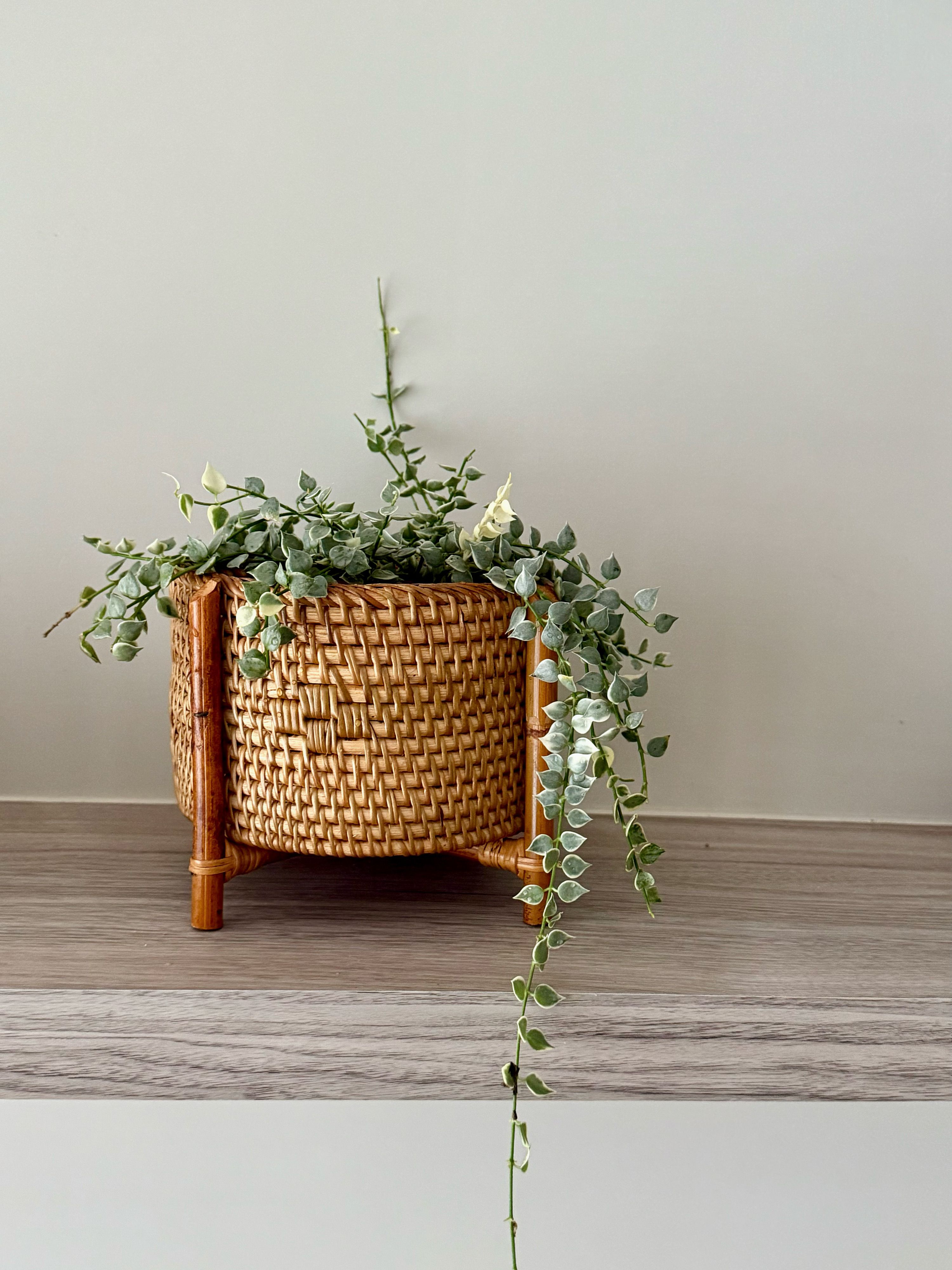 DecoDazzle🪬峇里島手工藤編圓形接木高腳籃