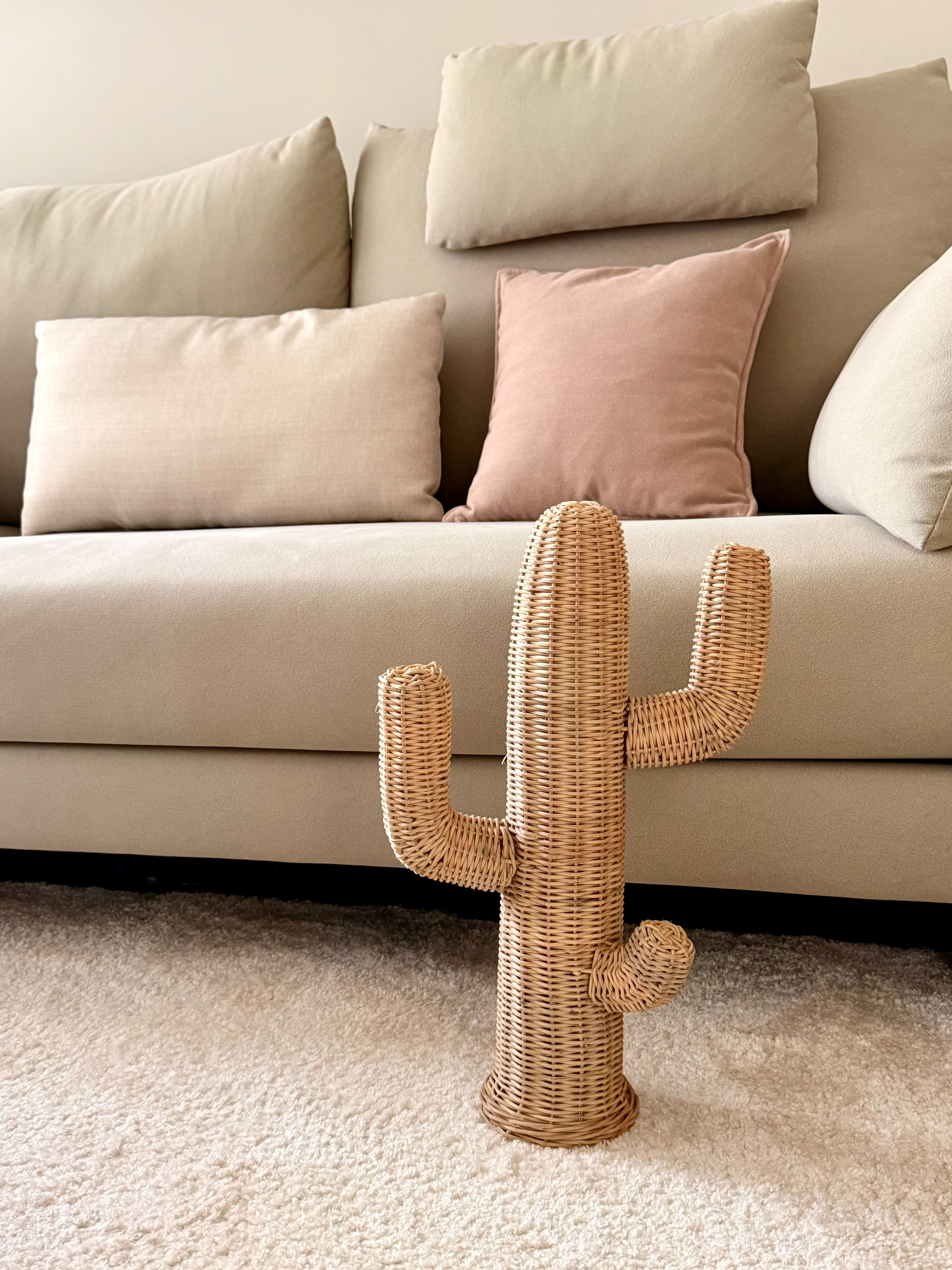 DecoDazzle🪬峇里島手工藤編仙人掌