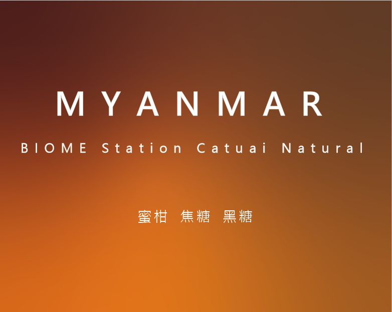 緬甸 BIOME 處理廠 卡杜艾 日曬