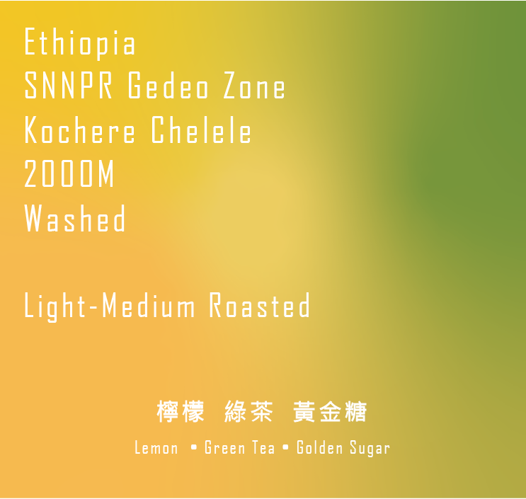 衣索比亞 蓋迪歐 科契爾 奇奇雷 微批次 2000m 水洗