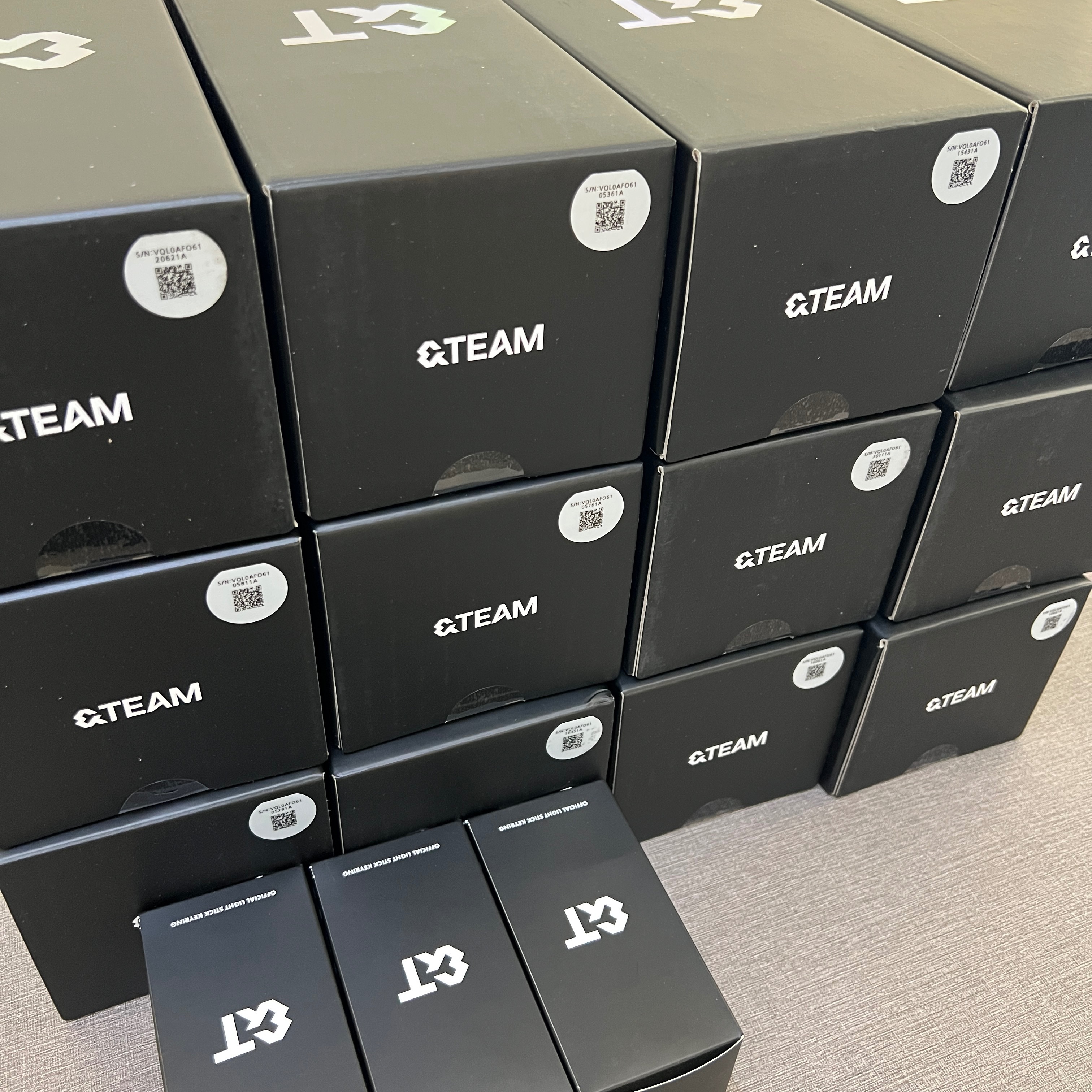 ＆TEAM手燈