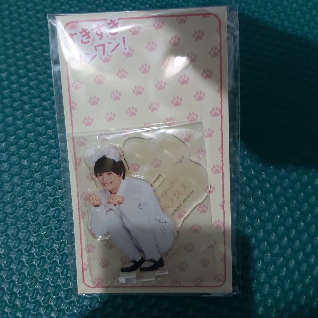 浮所飛貴 喜歡喜愛汪汪! 立牌