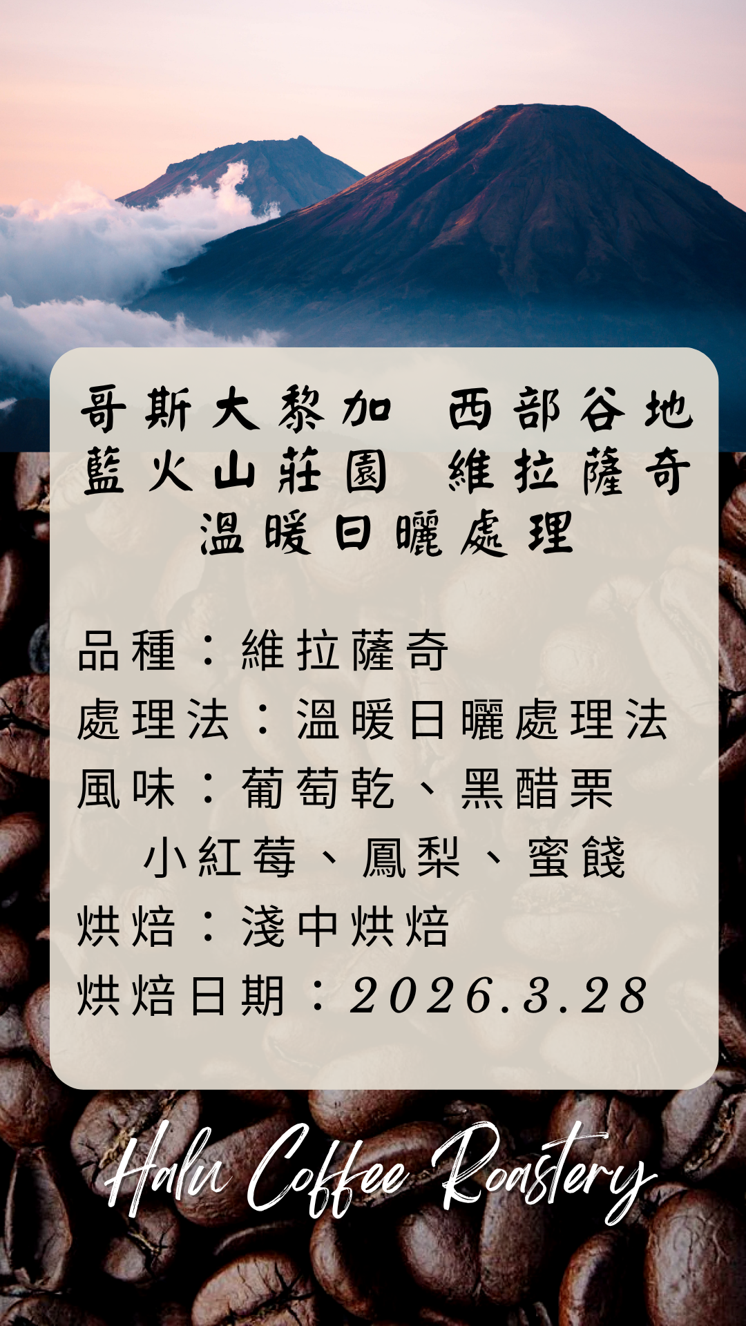 哥斯大黎加 西部谷地 藍火山莊園 維拉薩奇【溫暖厭氧日曬處理】