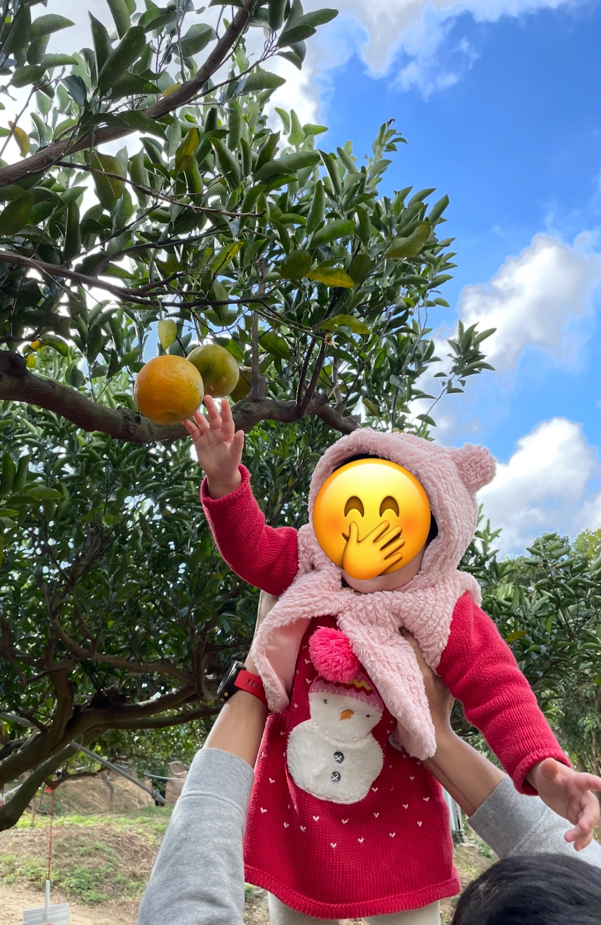 阿米就是很多東西