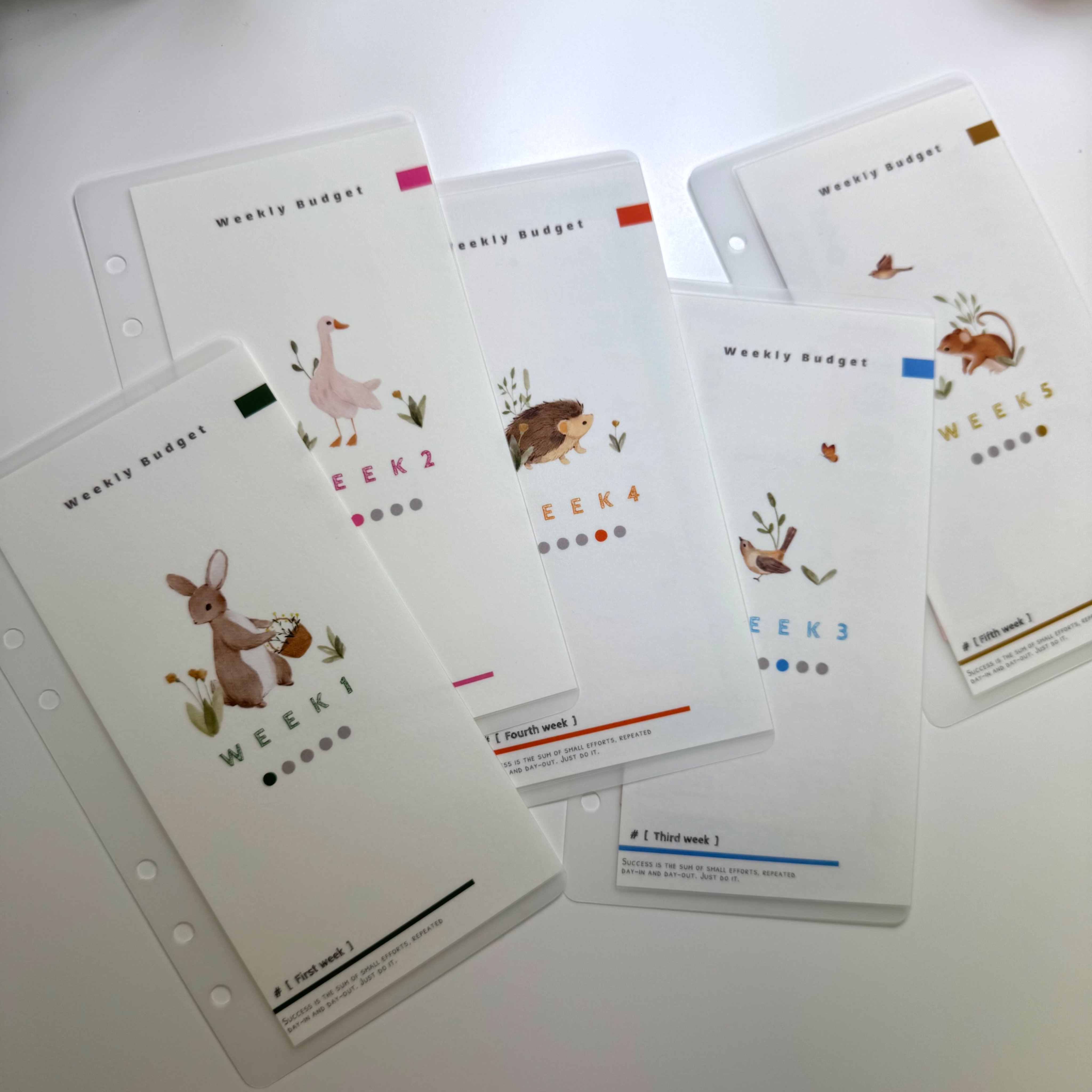 森林小島每週分類預算（WEEK1-WEEK5）