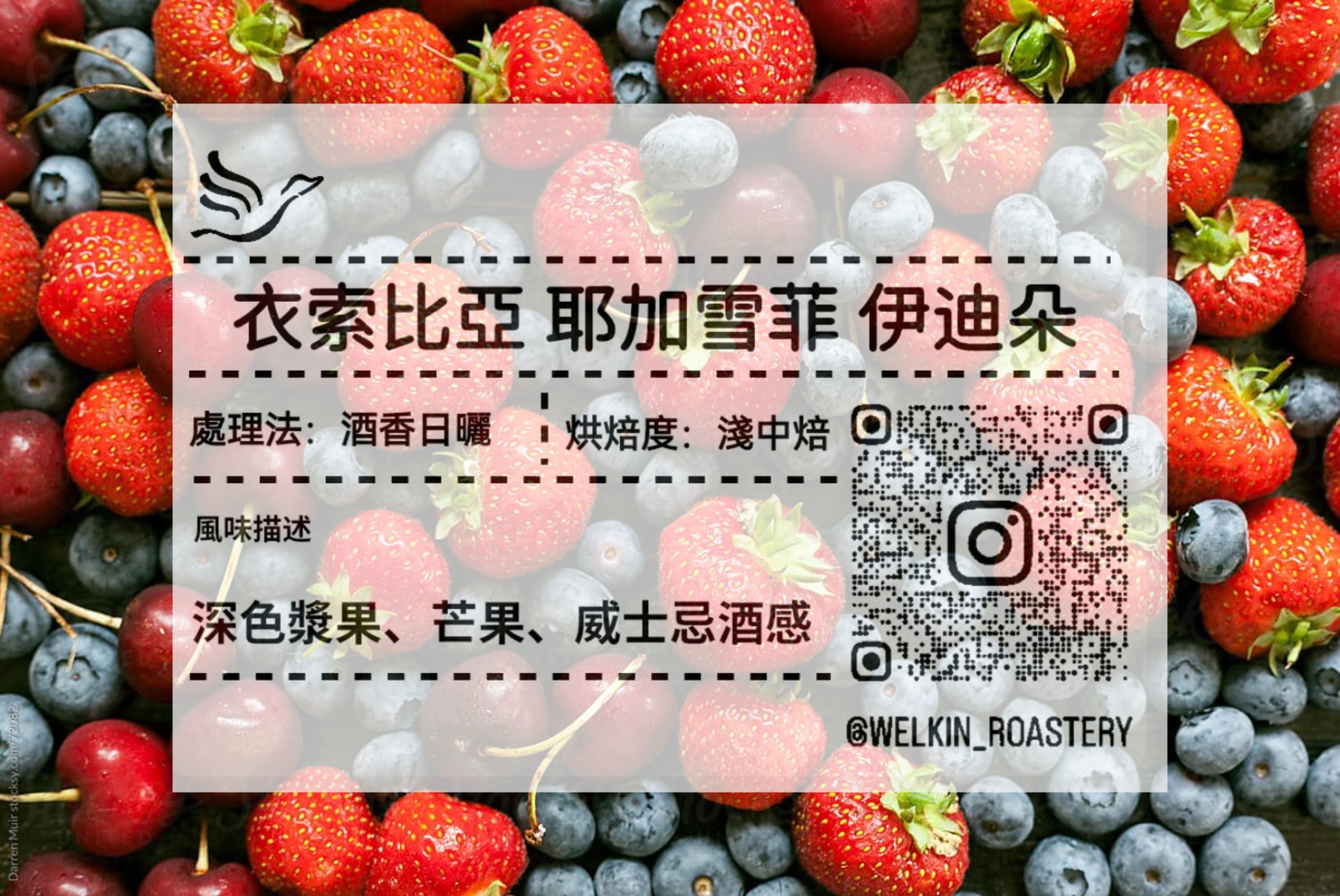 衣索比亞 耶加雪菲 一滴多 酒香日曬