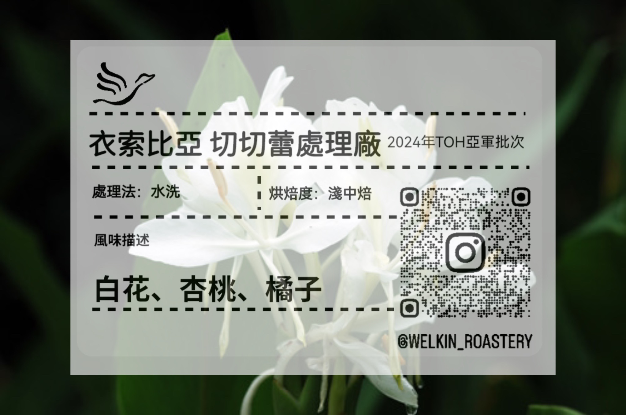 05.12烘焙 9折 衣索比亞 切切蕾處理廠（2024年THO亞軍批次）