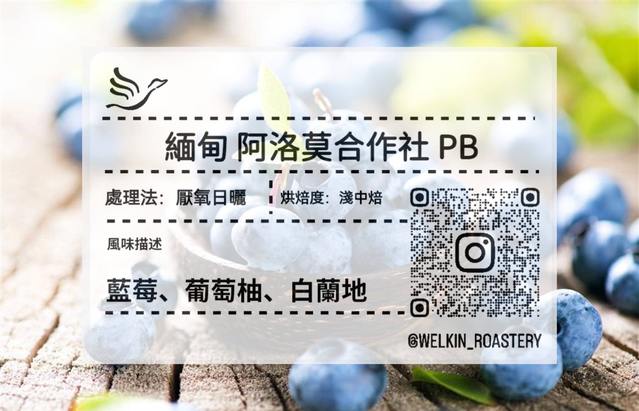 緬甸 阿洛莫合作社PB 厭氧日曬