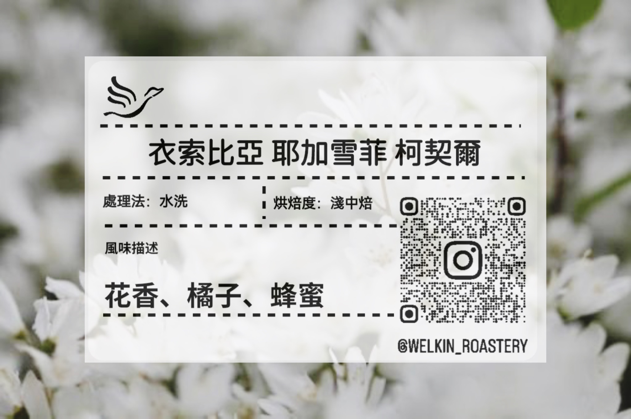 衣索比亞 耶加雪菲 柯契爾 水洗