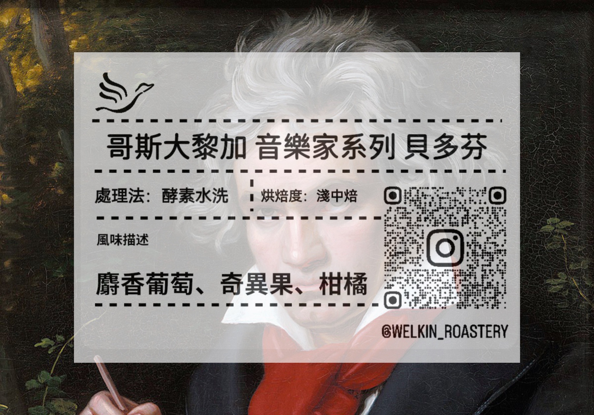 哥斯大黎加 音樂家系列 貝多芬 酵素水洗