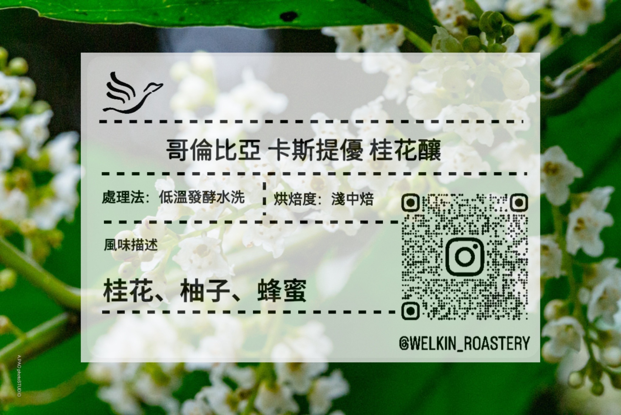 嚐鮮9折 哥倫比亞 卡斯提優 桂花釀 低溫發酵水洗