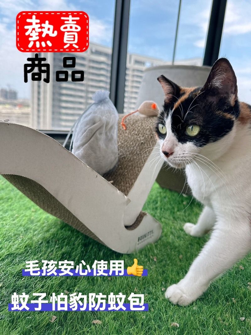 請在購買之前搶券  輸入【618】領券後下單可免運