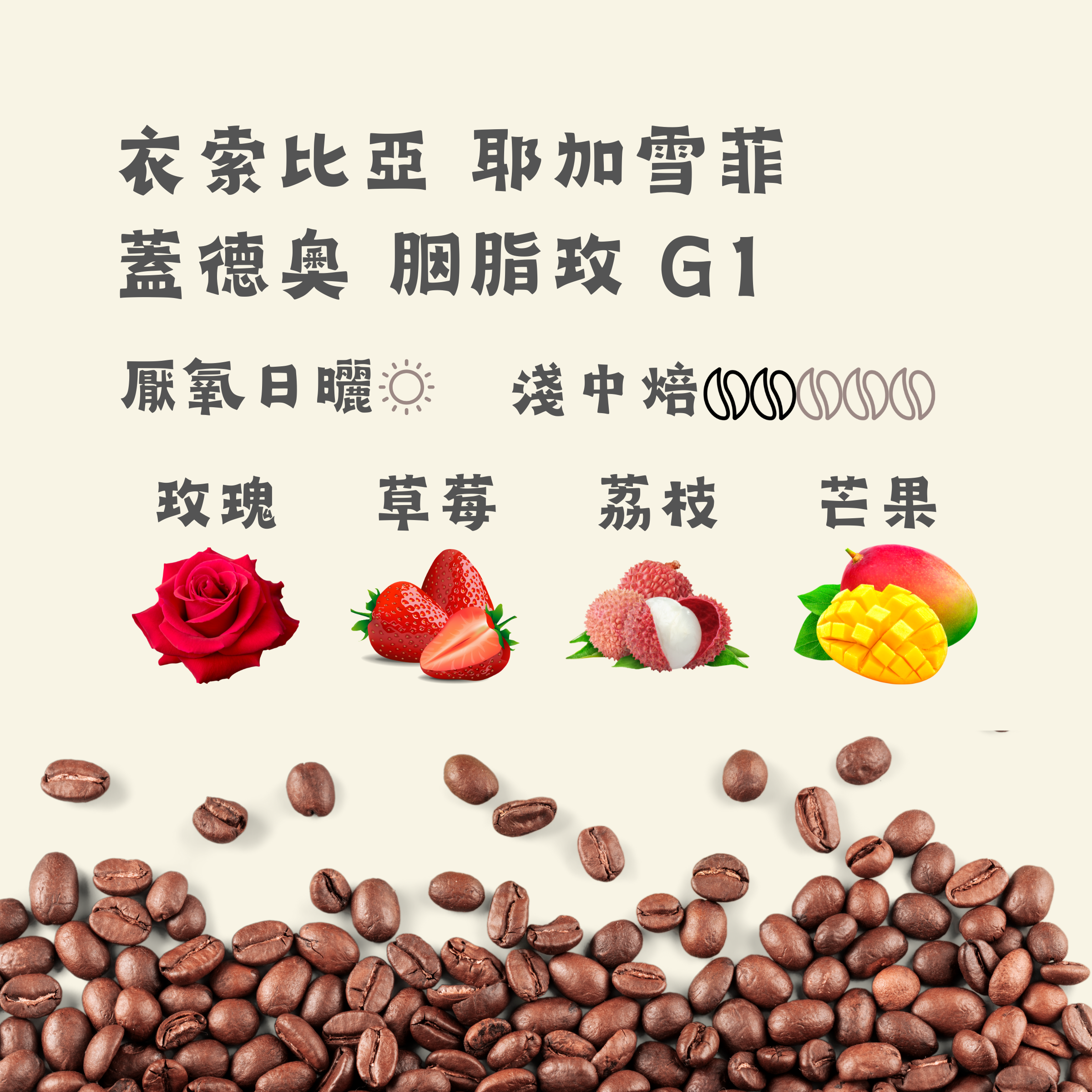 衣索比亞 耶加雪菲  蓋德奧 胭脂玫 ﻿G1｜淺中焙