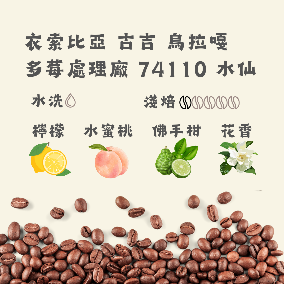 衣索比亞 古吉 烏拉嘎 多莓處理廠 74110 水仙｜淺焙