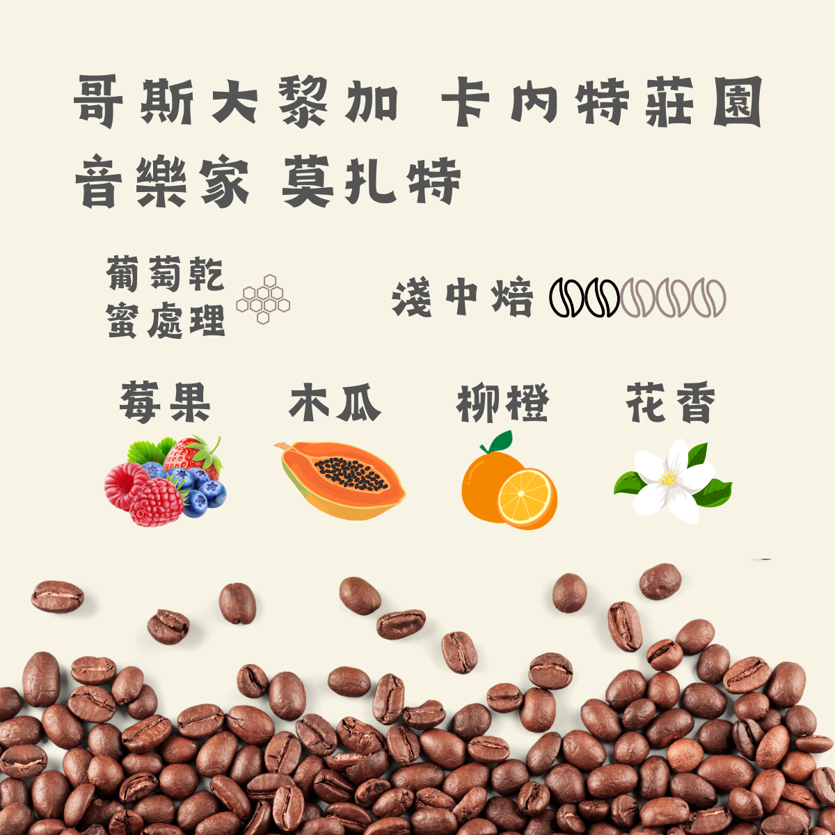 哥斯大黎加 卡內特莊園 音樂家 莫扎特｜淺中焙