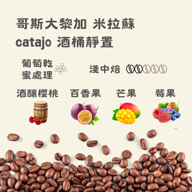 哥斯大黎加 米拉蘇 catajo 酒桶靜置｜淺中焙