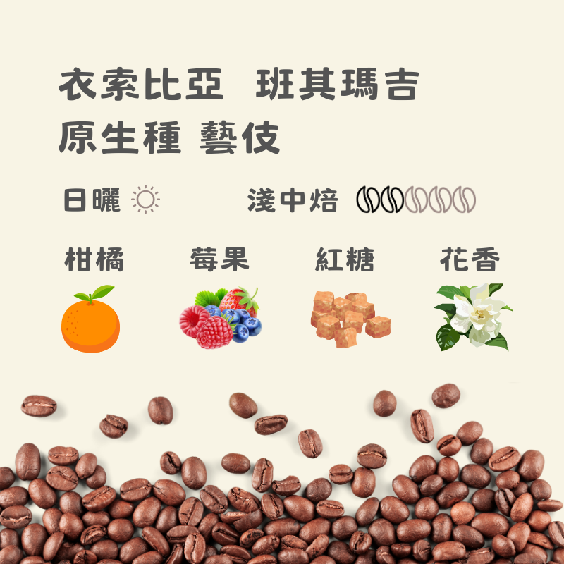 衣索比亞 班其瑪吉 原生種 藝伎 ｜淺中焙